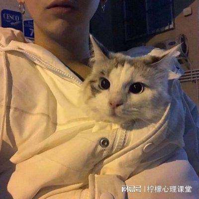 封神荡魔志正邪大战破解版下载