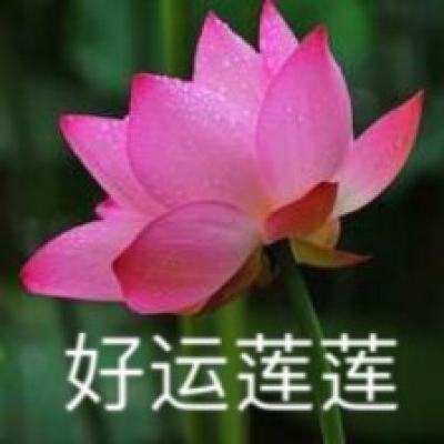 火箭皇家内购破解版下载